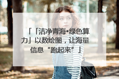 「洁净青海•绿色算力」以数绘图，让海量信息“跑起来”